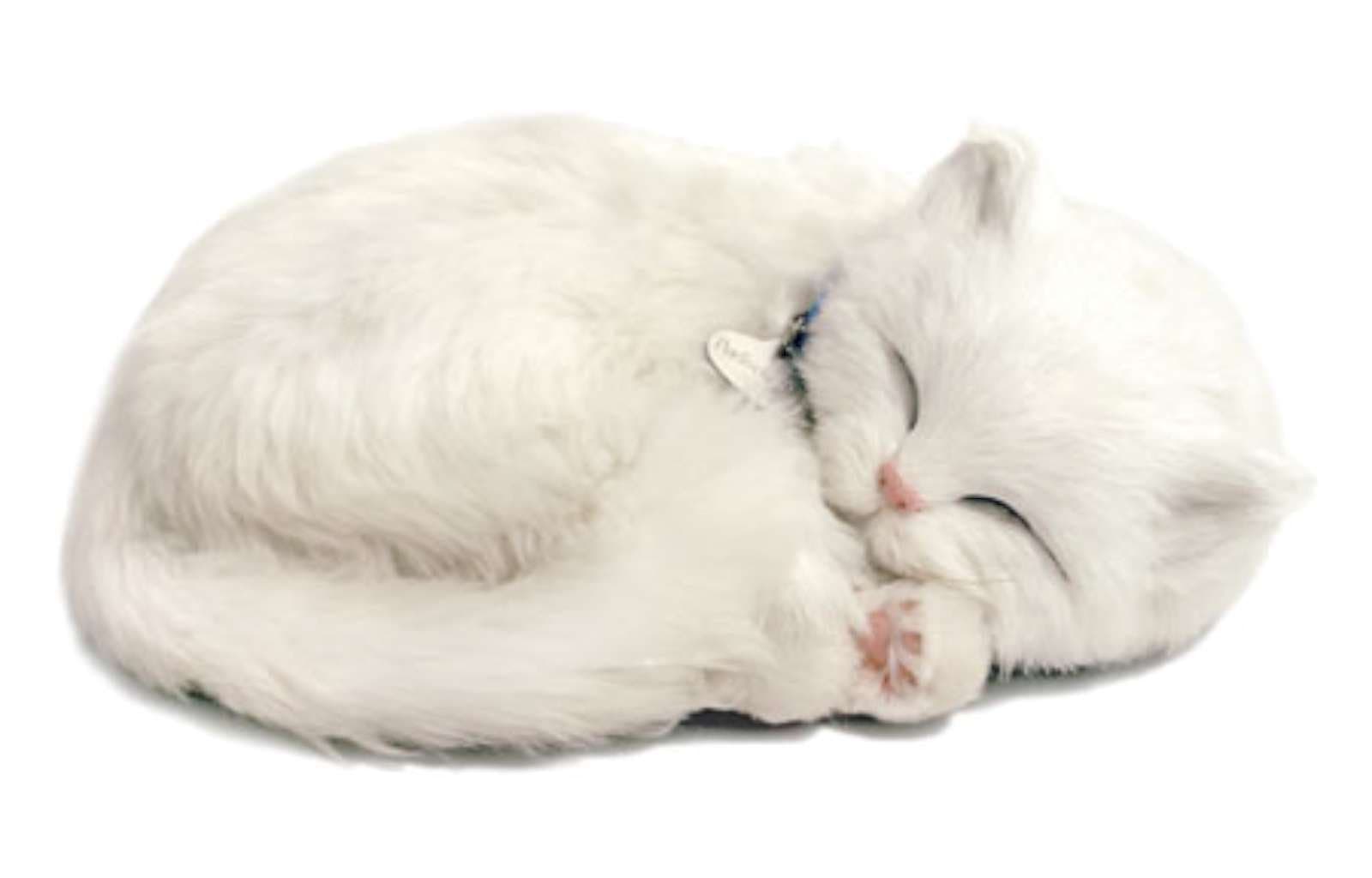 4934 Cat Plush – White