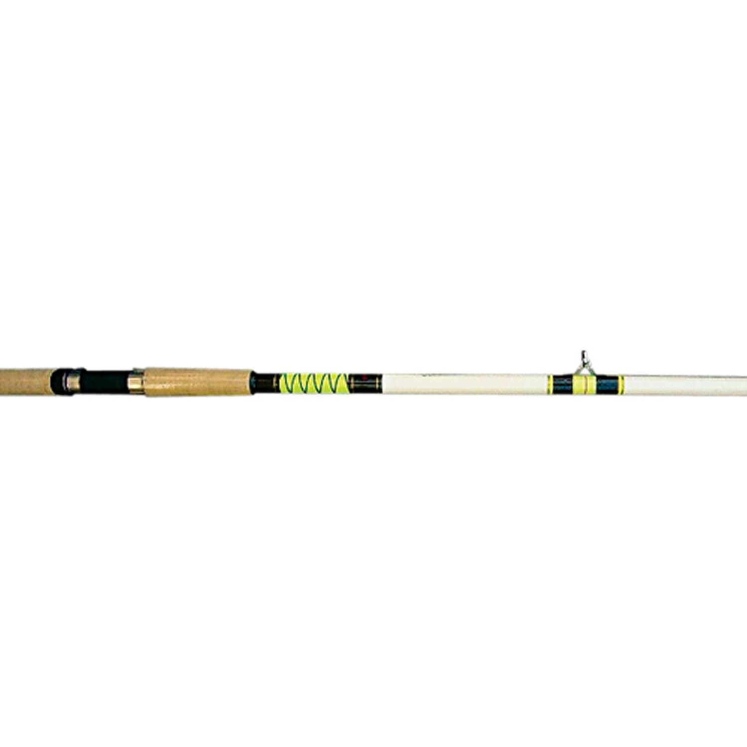 KingHawk 2 Piece Medium Heavy HyperGlow Cast Rod (10-Feet)