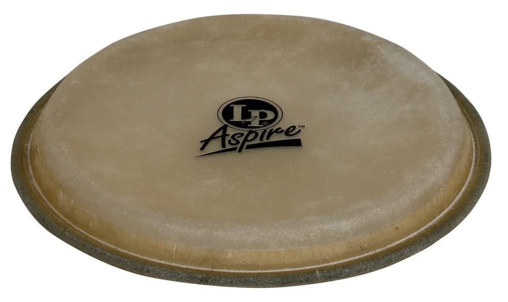 LP Aspire 8" Bongo Head
