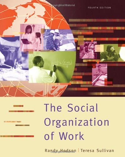 The Social Organization of Work