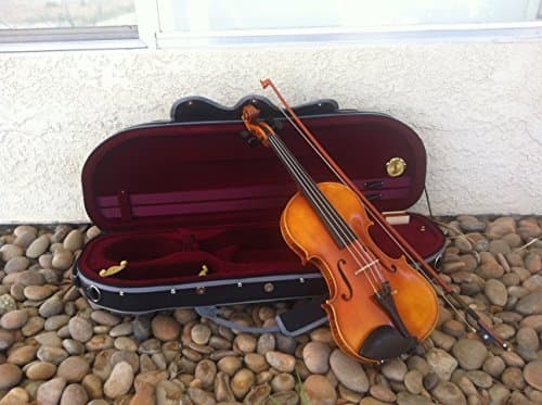 Violin Paradiso Dolce Violin Set with Case Rare