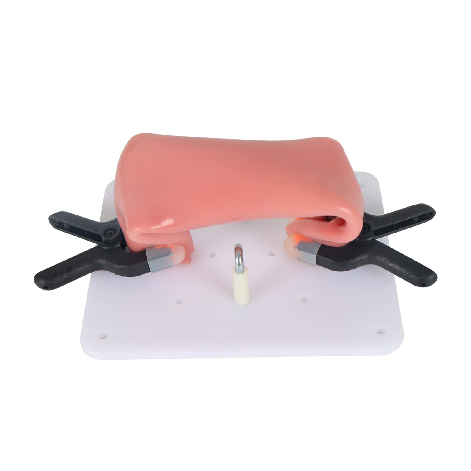 LAPLAY Suture pad Simulator Small Intestine for Suturing practice,7.87' inches,with holder and 2 clips