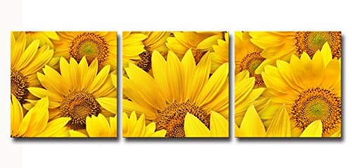 3 Panel Sunflower Canvas Prints for Home Decoration No Frame