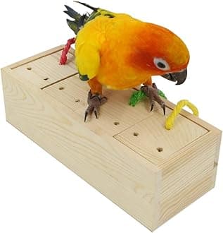 YINGGE Wooden Bird Foraging Feeder Toys, Intelligence Toys for Medium and Large Parrots Sun Conures, Caique, Cockatoo, African Grey, Macaws, Amazon