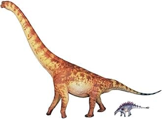 XINPANYIAN HAOLONGGOOD Brachiosaurus Prehistoric Animal Dinosaur Model with Huayangosaurus Figure (Color C)