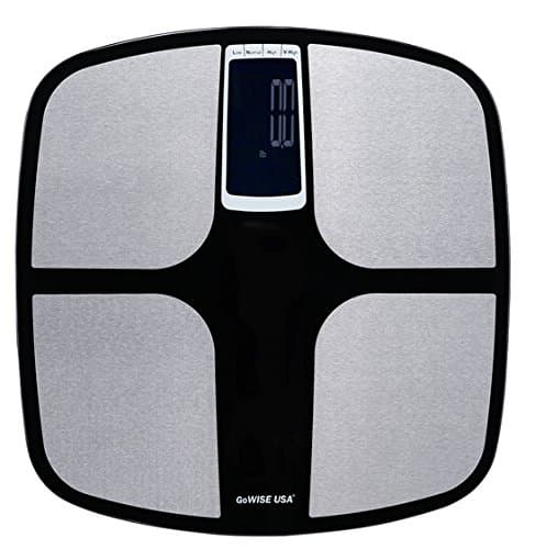 GoWISE USA (Black/Silver)