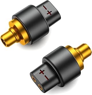 okcsc IE300 Male to QDC 2PIN Female Headphone Adapter for SENNHESER IE300 Earbuds to QDC2 PIN Cable Lossless Audio Adaptor for IE300 IE600 IE900 AKG N30 N40 KZ ZSN ZS10 ZSX AS12 AS16 1 Pair Black