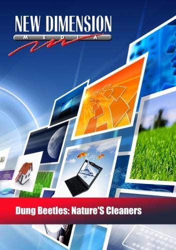 Dung Beetles: Nature's Cleaners