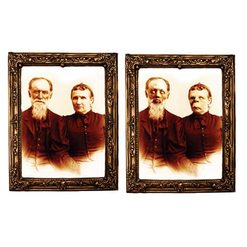 Mr. & Mrs. Gross Gortrait