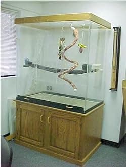 PENNZONI Large Bird Cage for Macaws - Large Parrot Cage, Crystal Clear Acrylic Bird Cage, Glossy Oak Base w/Decorative Top