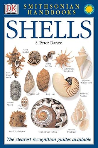 DK Handbooks: Shells: The Clearest Recognition Guide Available