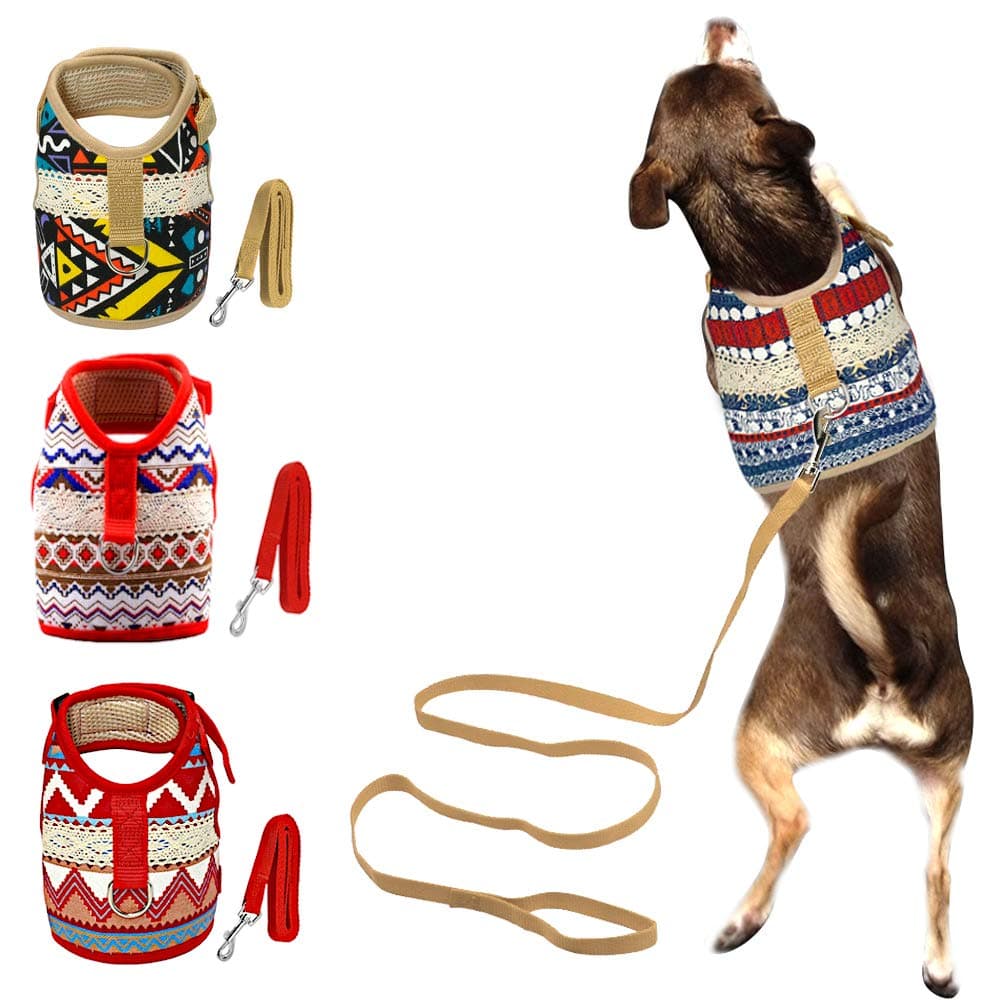 Dog Harness & Leash Set for Small Breeds (Extra Large, Goa)