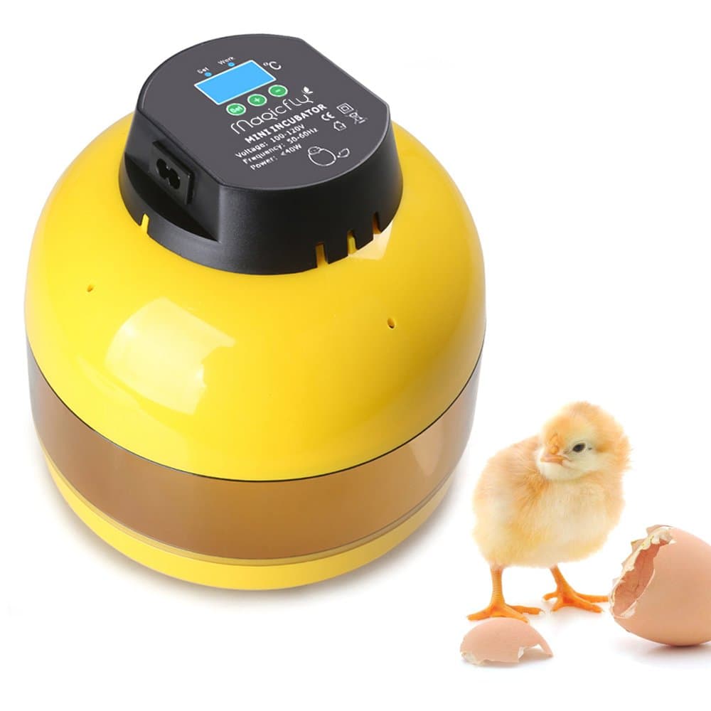 Magicfly Digital Mini Semi Automatic Egg Incubator 10 Eggs Poultry Hatcher for Chickens Ducks Goose Birds