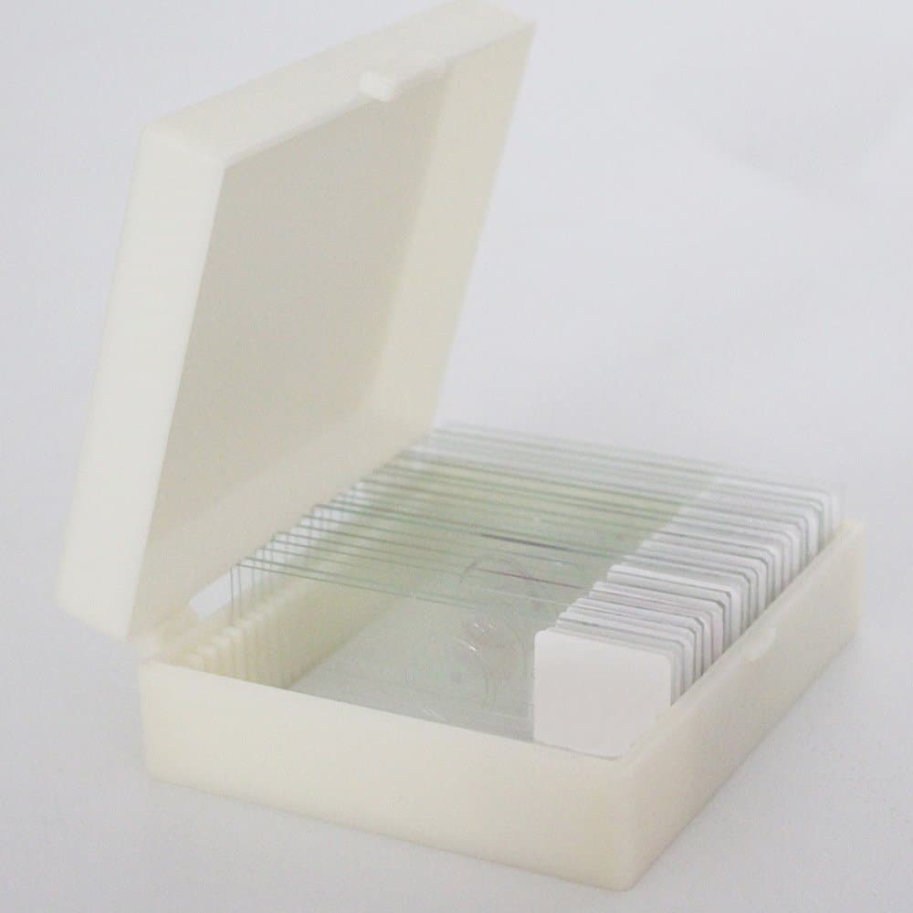 Roy 25 Pieces Prepared Microscope Slide Set Used for Basic Biological Science Education, Biology Lab Microscope Slides for Teaching & Learning