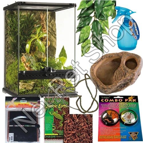 Crested Gecko Starter Kit