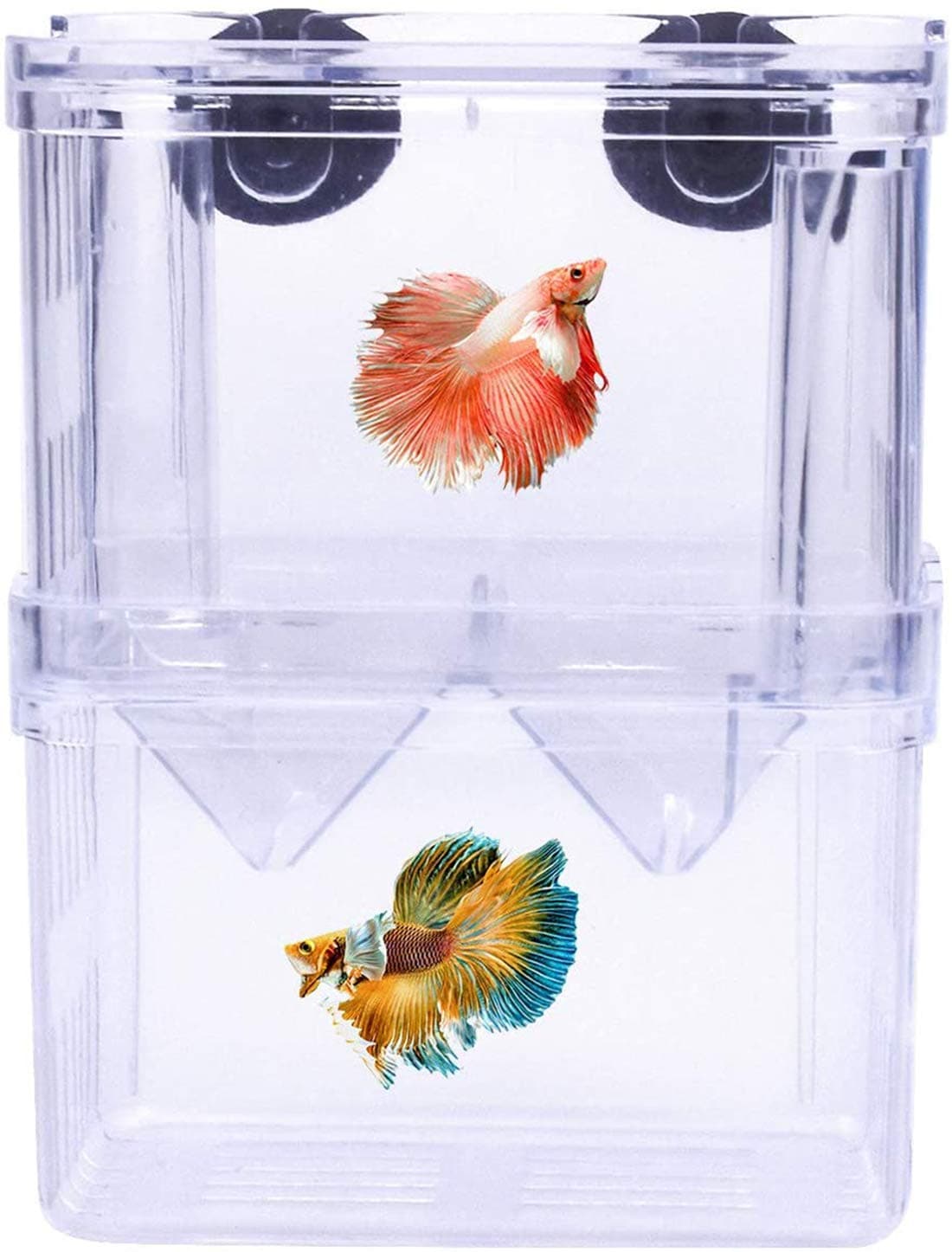 Fish Breeding Box, Multi Functional Acrylic Double Layer Fish Isolation Box, Transparent Breeding Tank For Aquarium Tank Fish Parenting Container Divider, with Suction Cups