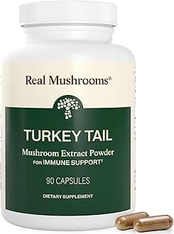 Turkey Tail Capsules – Organic Mushroom Extract for Wellness & Daily Rhythm – Vegan, Non-GMO, No Fillers Turkey Tail Extract – 90 Count Mushroom Supplement