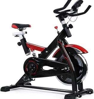 Exercise Bikes Mute Sports Bike Fitness Equipment Home Pedal Training Bicycle Indoor Exercise Bike Load-bearing 200KG for Cardio Training (Indoor Spor