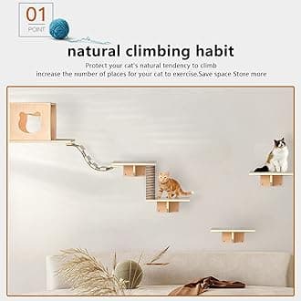 Cat Wall Shelves with 6 set