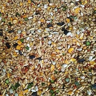 Bird Food for All Kinds of Birds 1000 Gms (Mixed and Crushed Grains),All Life Stages