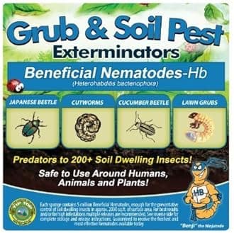 25 Million Live Beneficial Nematodes Hb - Soil Pest Exterminator