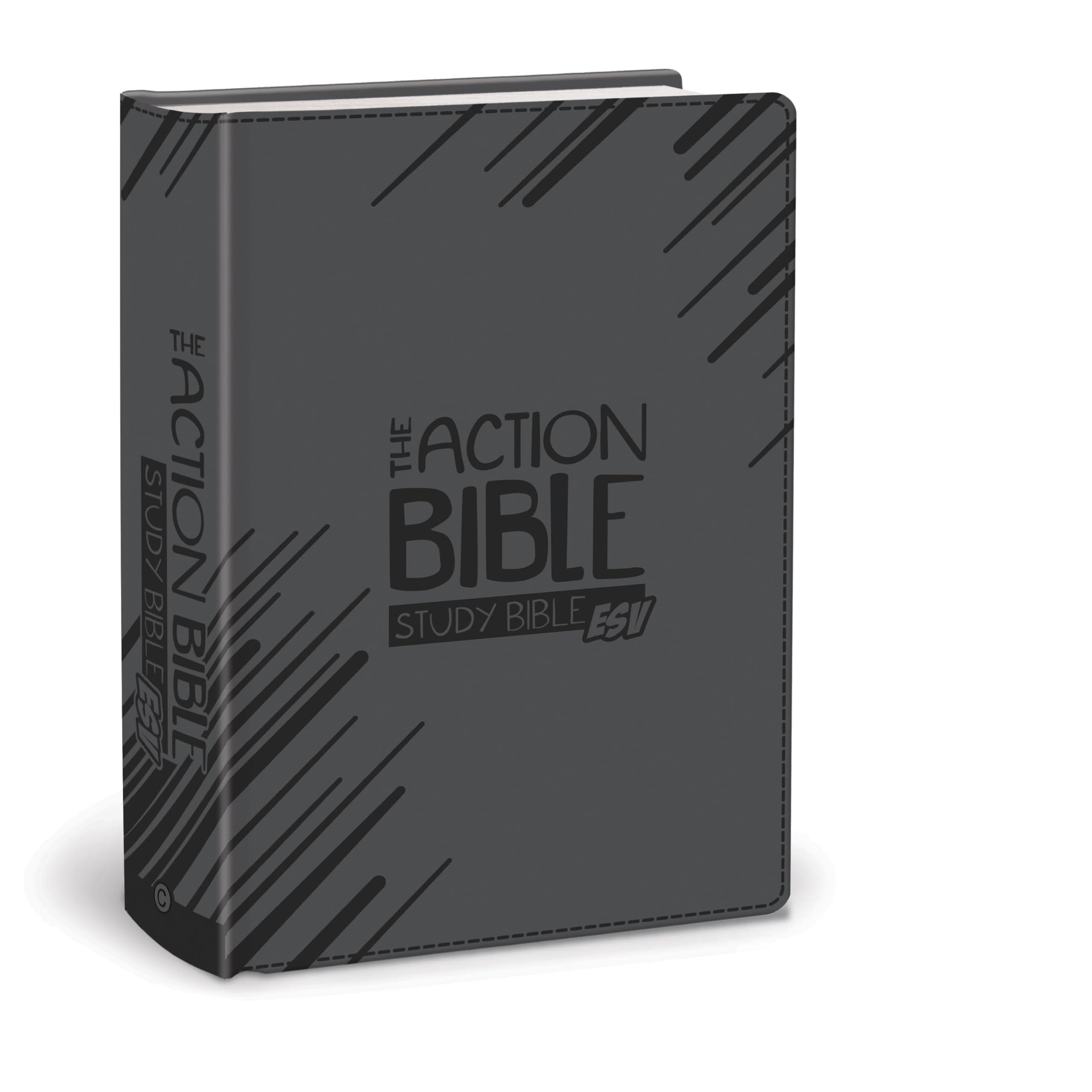 The Action Bible Study Bible ESV (Gray)