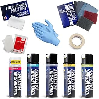Touch Up Paint Factory - Aerosol Scratch Repair Kit Mixed by Reg Registration Plate Car Touch Up Paint for All Models - Exact Match Guarantee - All You Need