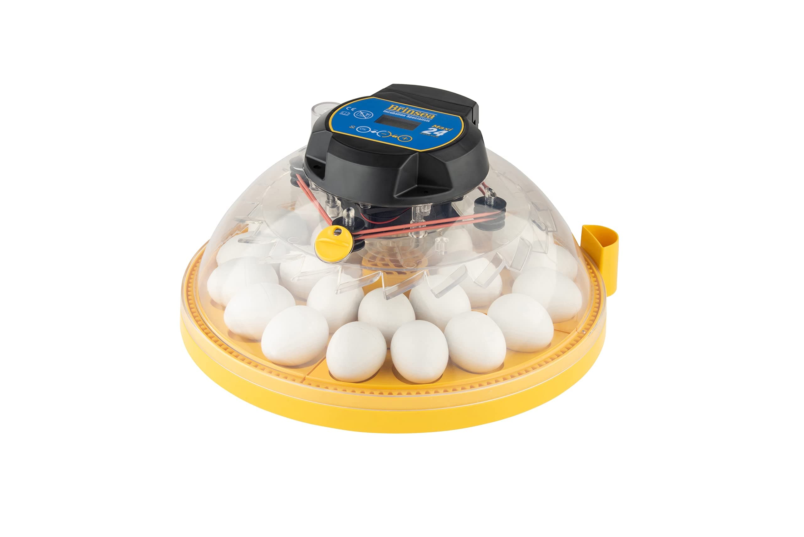 Brinsea Maxi 24 Advance Egg Incubator with Automatic Egg Turning and Temperature Control for Hatching 24 Chicken, Duck, or Other Eggs,- Optimal Flexibility with Mix & Match Sizes