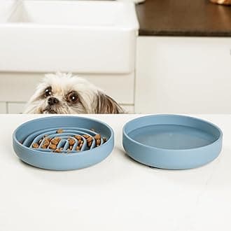 Should We Go? Slow Feeder for Dogs & Cats, The Slowdown Bowl Silicone Slow Eating Mealtime Solution with Modern Lick Mat Design, Reduces Gulping, Fits 1 Cup, 6” Across x 1.25” Tall, Small-Blush