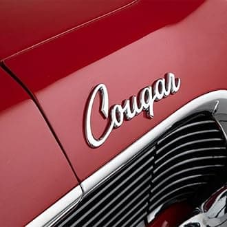 Custom Car Emblems, Stainless Steel Word, Automotive Badges with Durable Metal Design and Firm Adhesive, Personalized Gift for Friends, Families. Compatible with Automobile, Motorcycle, Boat