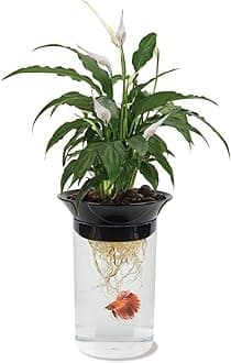 Penn-Plax (APON1) Aquaponic Planter and Aquarium for Betta Fish Tank Promotes Healthy Hydroponic Environment for Plants and Fish
