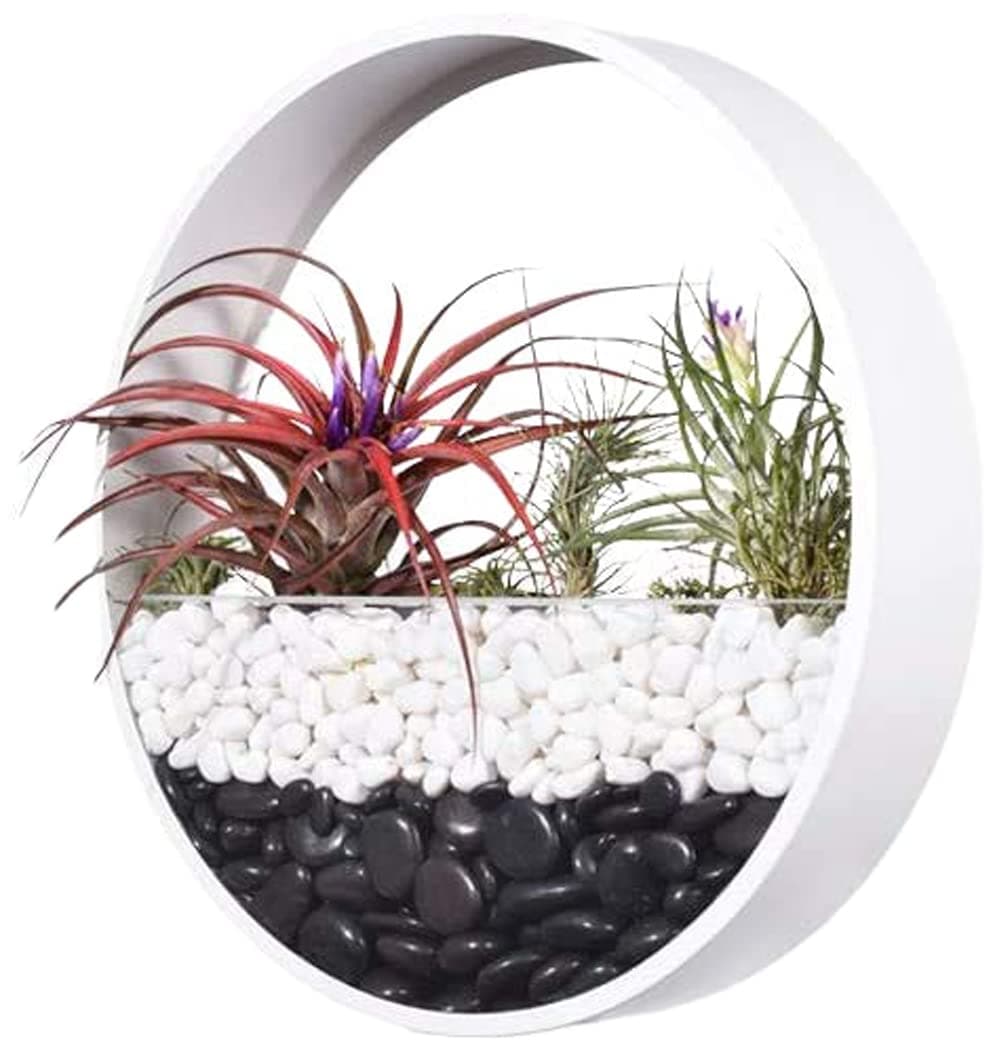 set of 3 white wall planter