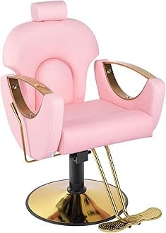 Reclining Salon Chair for Hair Stylist, Barber Chair for Home Beauty Styling Braider Hairdress Chair, Height Adjustable, 360 Degrees Swivel