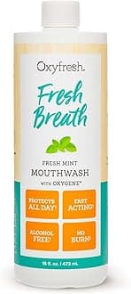 Oxyfresh Fresh Breath Fresh Mint Mouthwash – Dentist Recommended for Long-Lasting Fresher Breath & Healthy Gums | Alcohol & Fluoride Free (1-16 oz Bottle)