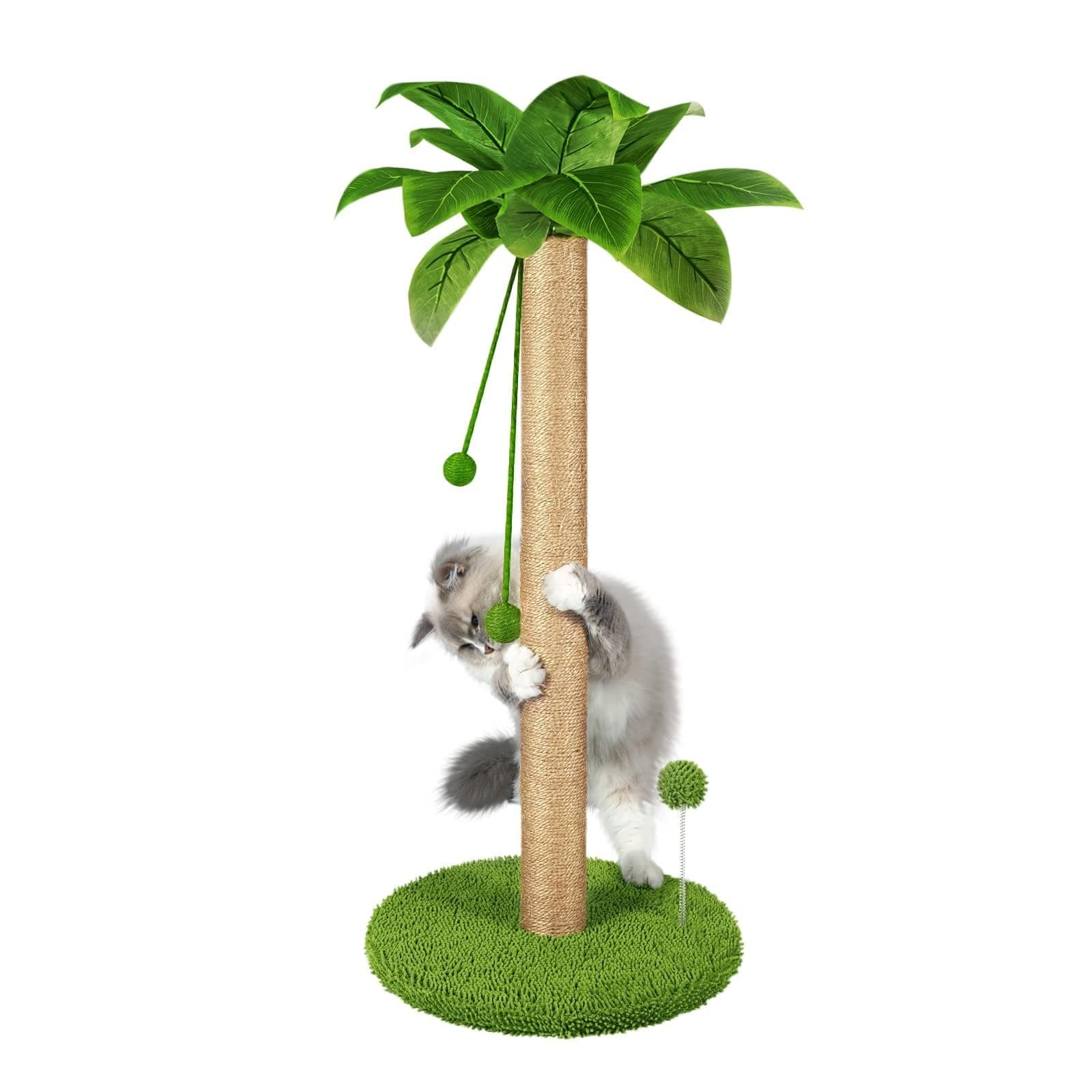 Dohump Cat Scratching Post, 31" Tall Scratch Tree with Premium Sisal Rope, Two Interactive Dangling Balls and Spring Ball Toys for Indoor Kittens and Cats