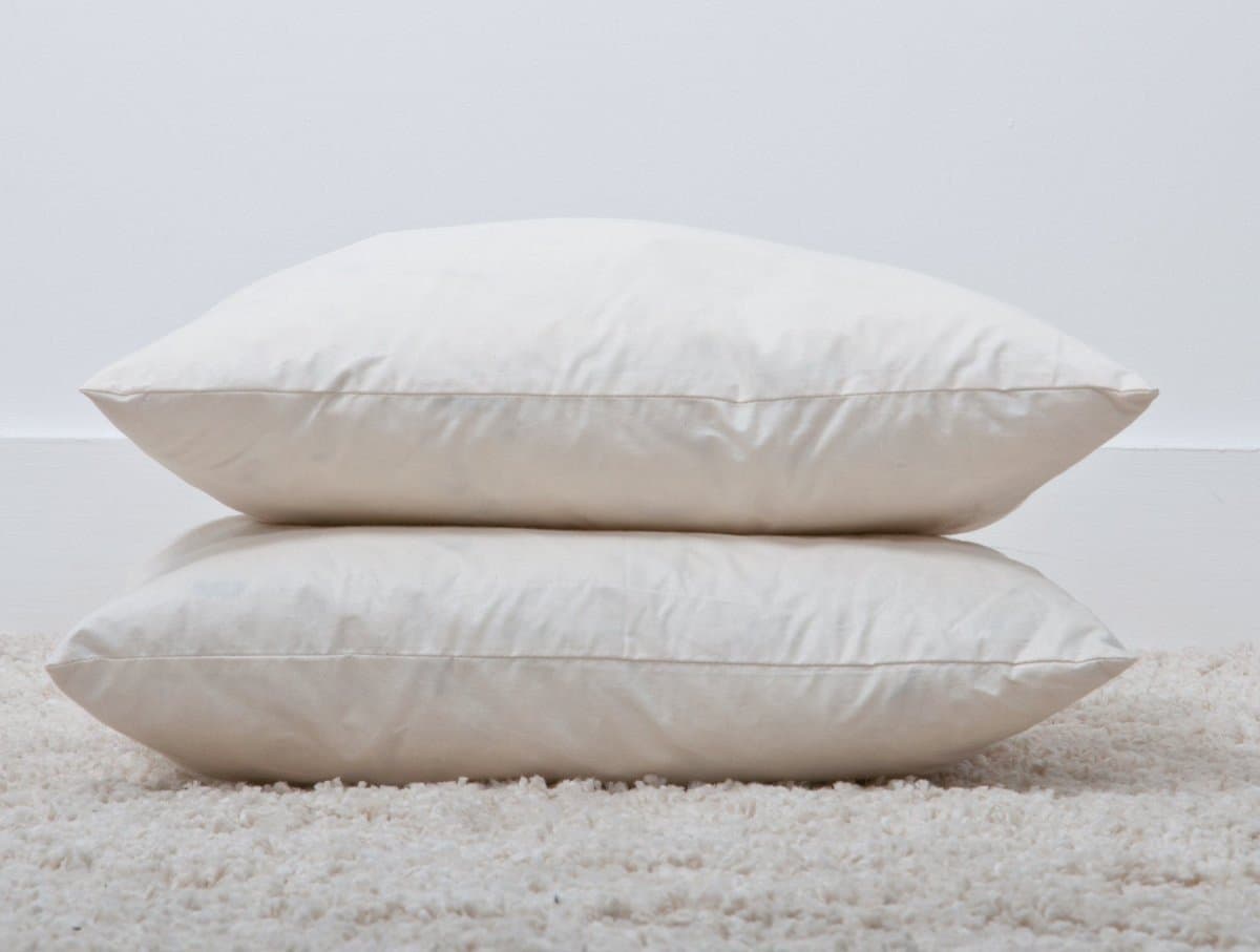 2 Pieces Pack Natural Feather and Down Square Decorative Pillow Inserts, Luxurious Lasting Loft, Size 22”x22”, (Fit Pillow Sham Sizes: 20”x20”, or 21”x21” or 22”x22”)