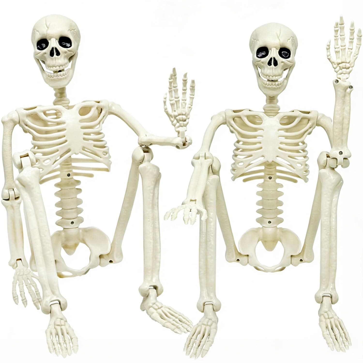 CAMIRUS 2PACK 36" Skeleton Halloween Decorations, 3ft Life Full Size Skeleton with Realistic Posable Movable Joints for Halloween Haunted Houses, Lawn, Graveyard