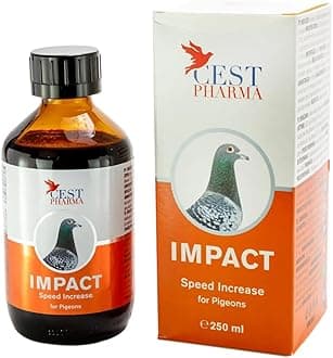 Cest Impact- High Energy Tonic for Pigeon Racing & Breeding 250ml