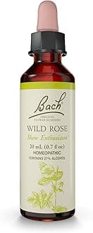 Bach Original Flower Remedies, Wild Rose - Show Enthusiasm - Natural Homeopathic Flower Essence for Emotional Balance - Vegan, Gluten Free, Sugar Free - 20mL Dropper
