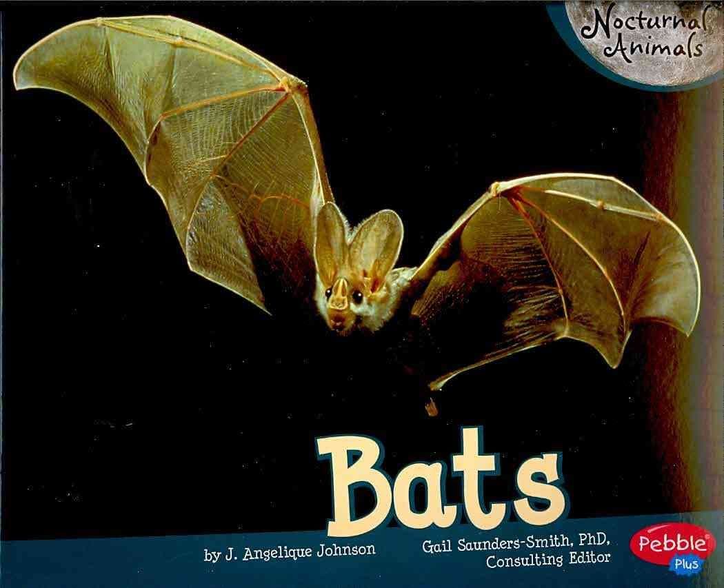 Bats (Pebble Plus: Nocturnal Animals)