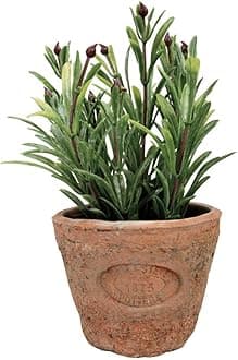 Esschert's Design AH011 Small Artificial Aged Terracotta Pot - Rosemary