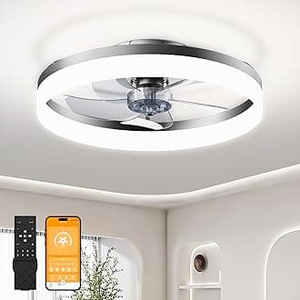Balck 19.6" Modern Ceiling Fan with Light