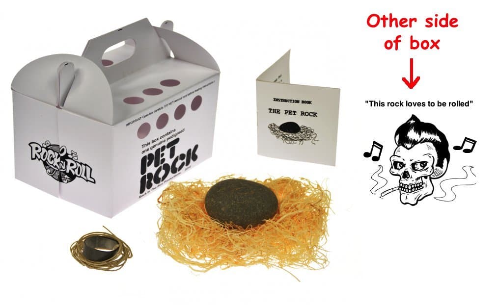 Pet Rock Rock n Roll with Walking Leash