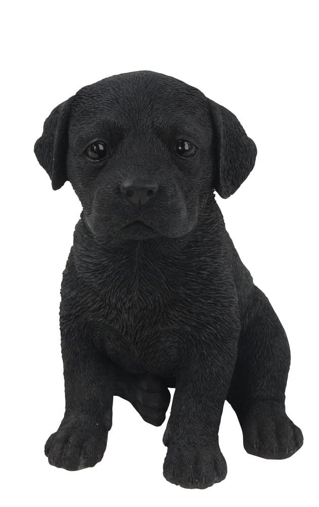 Labrador Puppy Statue, Black