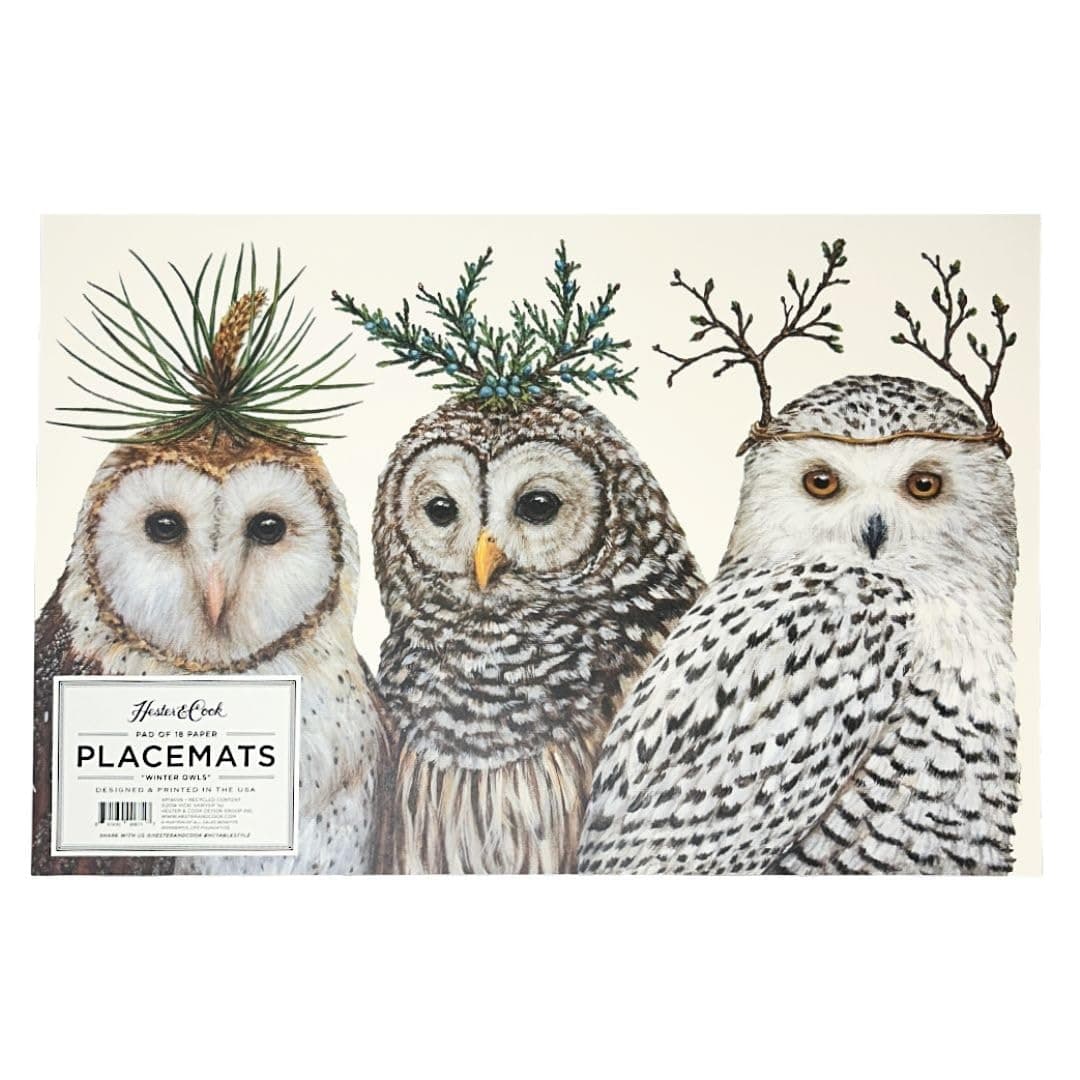 Kitchen Papers Winter Owls Paper Placemat Set