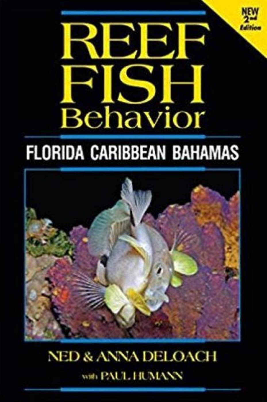 Reef Fish Behavior - Florida Caribbean Bahamas