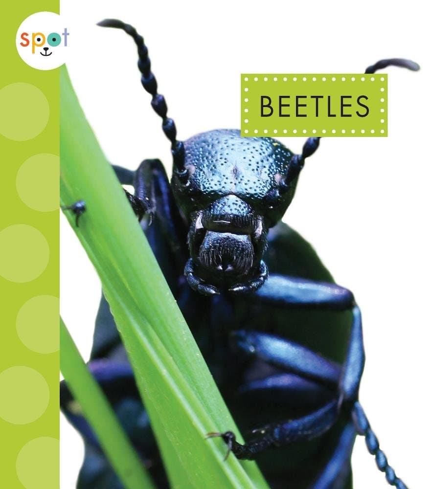 Beetles (Spot Creepy Crawlies)