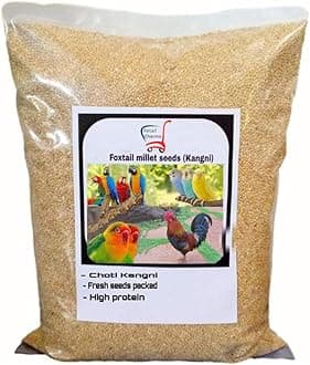 Foxtail Millet (Kangni), Bird Food for All Life Stages Canary, Finches, Waxbills, Budgies, Lovebirds, Cockatiels, Parrots & Parakeets, 1kg
