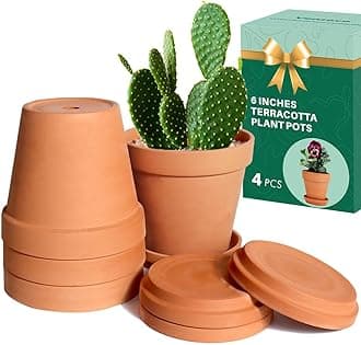 vensovo 6 Inch Terracotta & Clay Pots for Plant with Saucer - 4 Pack Medium Terra Cotta Planter with Drainage Hole, Flowerpot for Indoor Outdoor Plants, Crafts, Wedding Favor