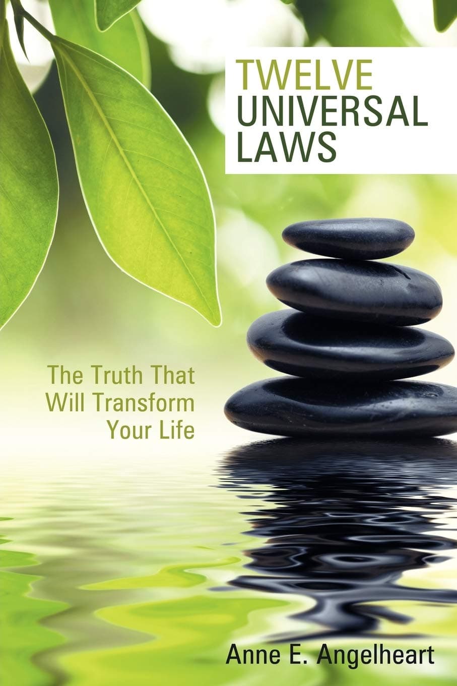 Twelve Universal Laws: The Truth That Will Transform Your Life Paperback – July 31, 2007
